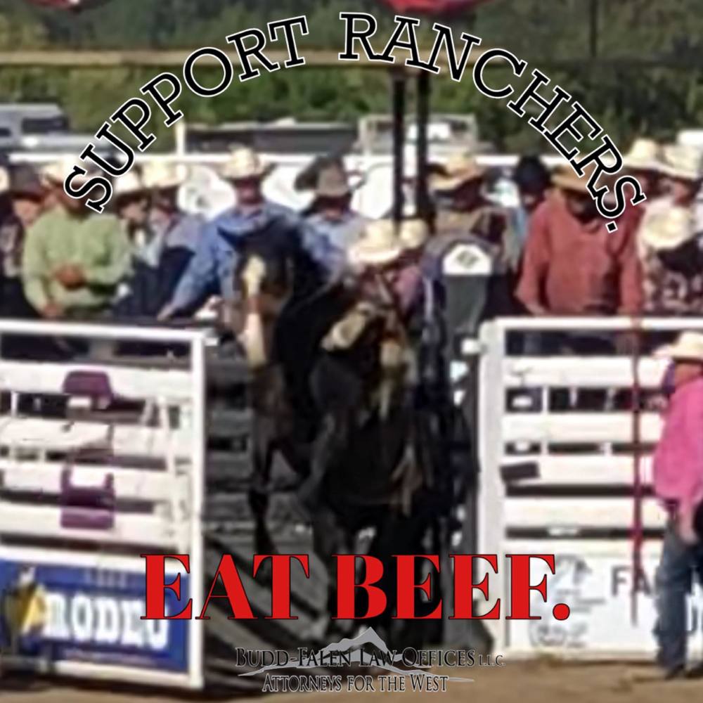 Meet your Posher, Ian